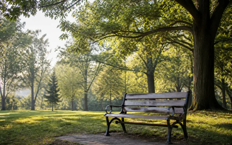 Quiet park bench and path in soft morning light